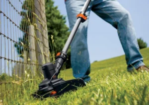 Comparatif et Guide pour acheter la meilleure debrousailleuse