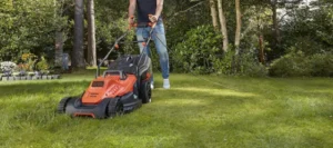 Tondeuse électrique : Test du Meilleur Produit, Guide et Avis