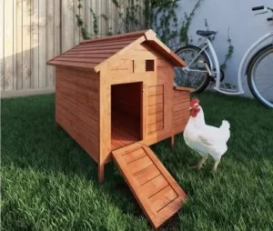 Accessoire poulailler : Test du Meilleur Produit, Guide et Avis