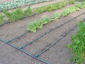 Arrosage goutte à goutte sans pression : Test du Meilleur Produit, Guide et Avis