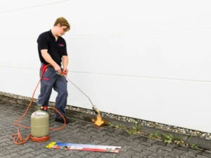 Bruleur mauvaise herbe gaz : Test du Meilleur Produit, Guide et Avis