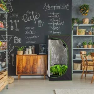 Chambre de culture : Test du Meilleur Produit, Guide et Avis