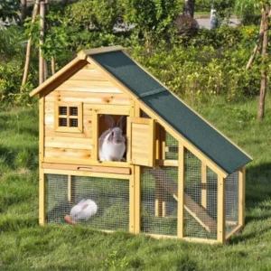 Clapier extérieur lapin : Test du Meilleur Produit, Guide et Avis