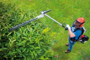 Debroussailleuse 4 en 1 : Test du Meilleur Produit, Guide et Avis