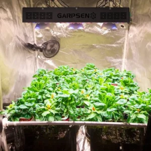 Lampe de culture : Test du Meilleur Produit, Guide et Avis