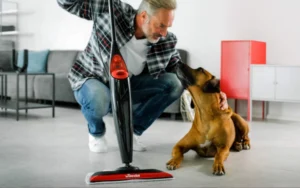 Comparatif et Guide pour acheter le meilleur balai vapeur