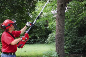 Débroussailleuse multifonction : Test du Meilleur Produit, Guide et Avis