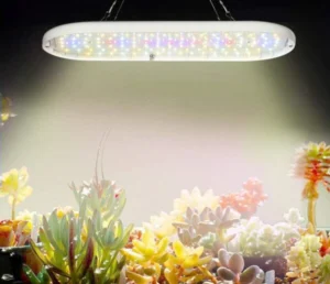 Comparatif et Guide pour acheter le meilleur panneau led culture