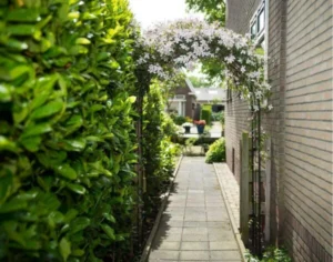 Pergola acier adossée : Test du Meilleur Produit, Guide et Avis