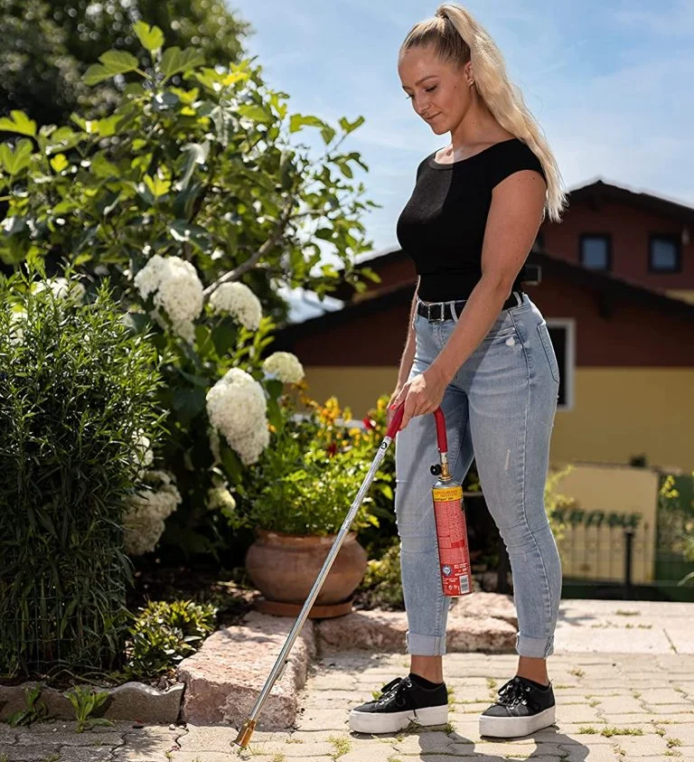 Comparatif et Guide pour acheter le meilleur chalumeau mauvaises herbes