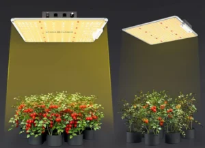 Panneau led culture indoor : Test du Meilleur Produit, Guide et Avis