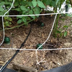 Comparatif et Guide pour acheter le meilleur programmateur goutte à goutte