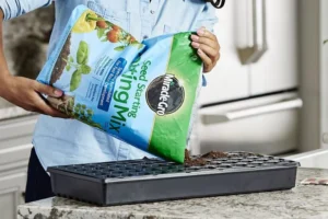 Terreau pas cher : Test du Meilleur Produit, Guide et Avis