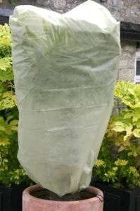 Voile hivernage : Test du Meilleur Produit, Guide et Avis